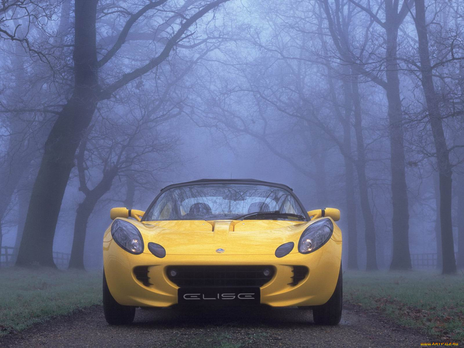 lotus, elise, 